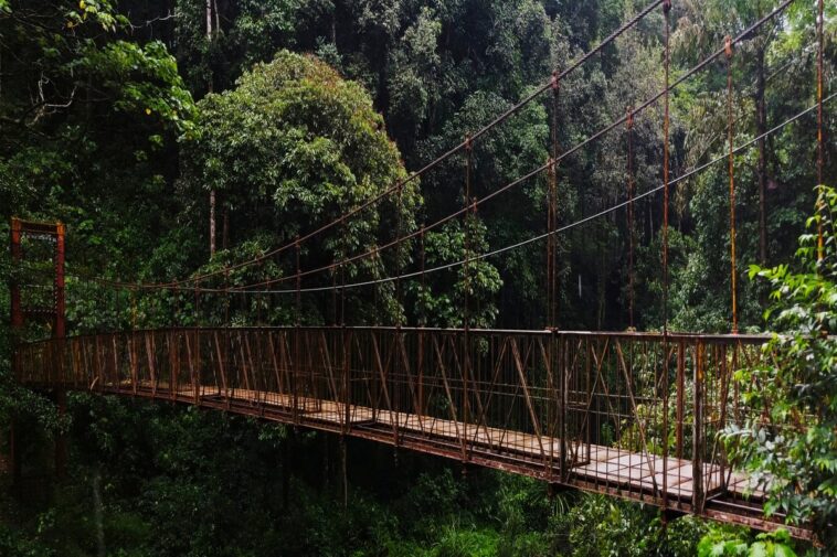 Escape To Paradise: Experience Serenity At These Must-Visit Places In Southern India